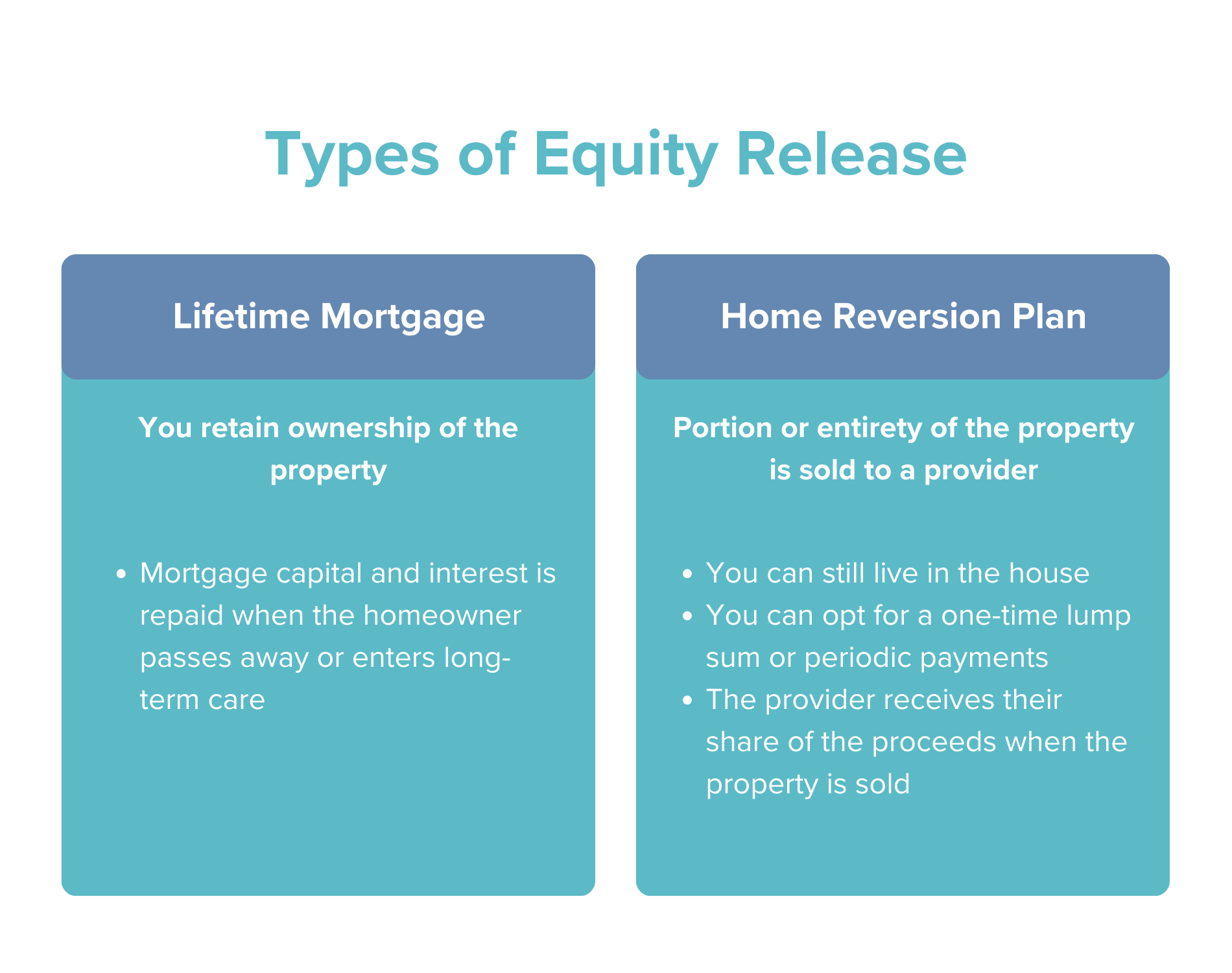 lifetime mortgage vs home reversion plan equity release